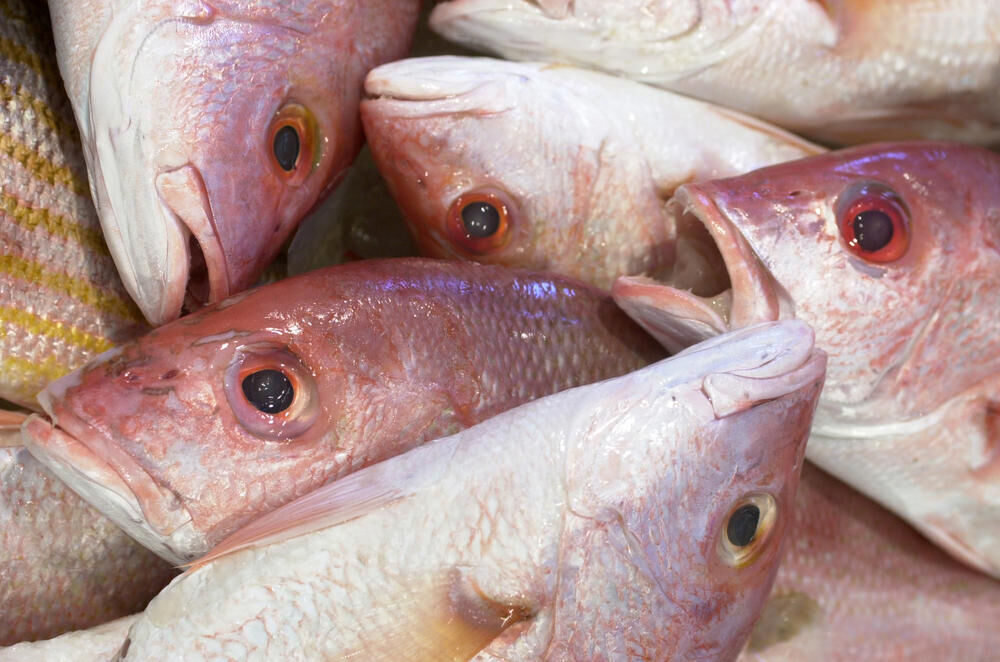 Walmart hooks sustainable fish