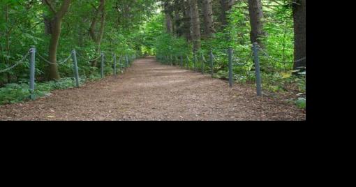 Explore the trails in and around Mississauga this spring - Vimarsana News