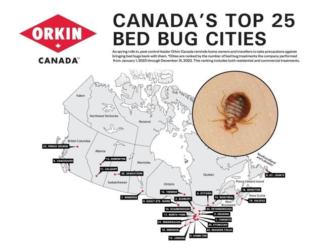 Orkin Canada releases list of most bed bug infested cities