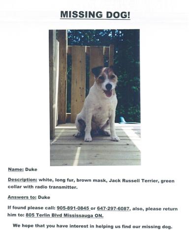 Our DOG IS MISSING!! HELP US FIND HIM..