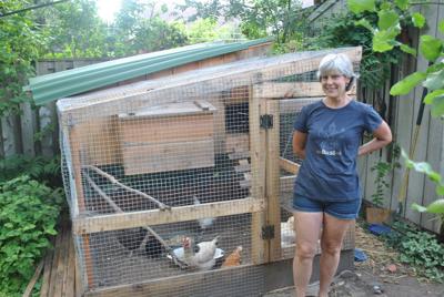 Court allows B.C. woman to keep guinea fowl hens as pets