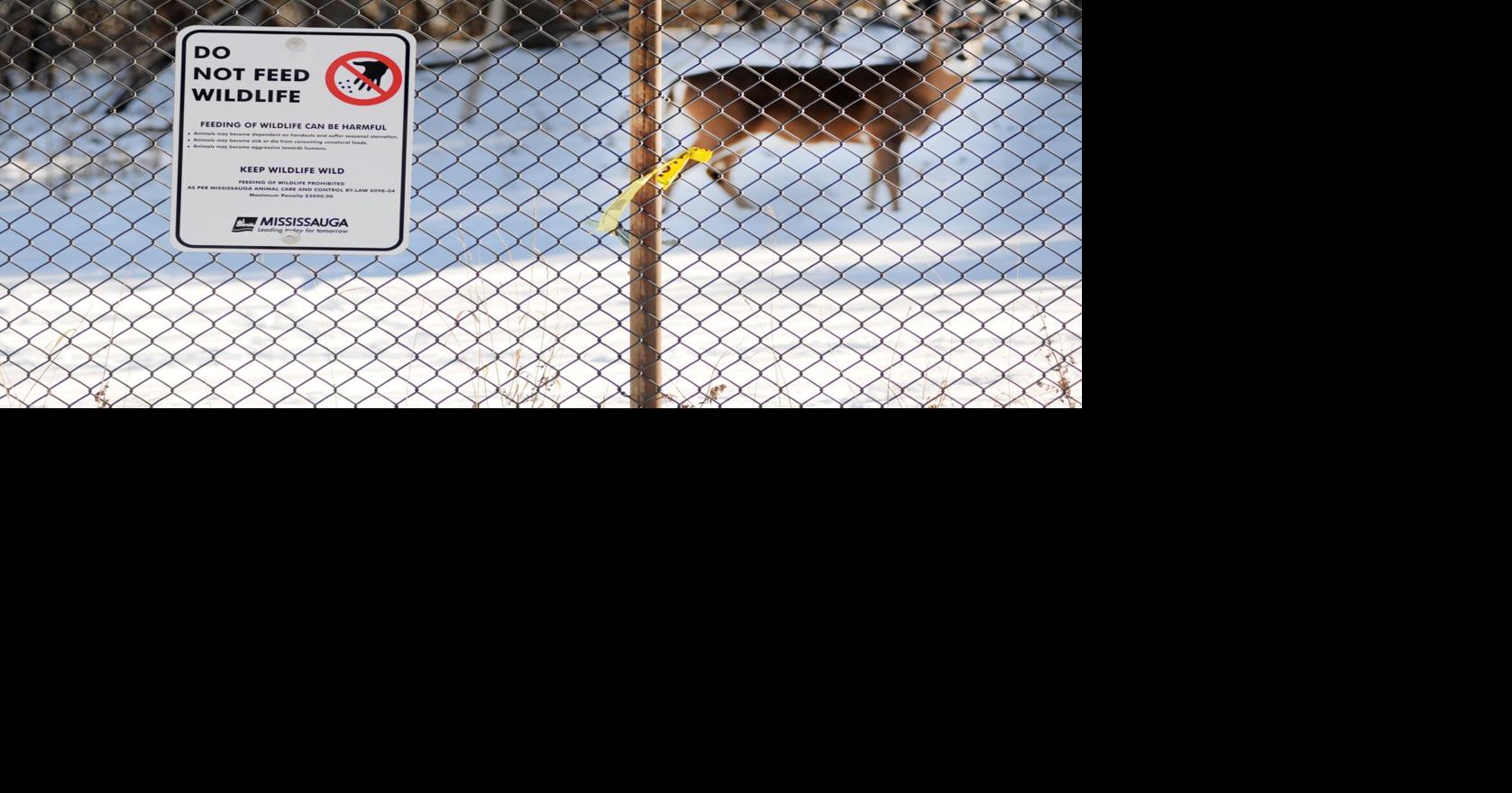 Signs a reminder not to feed wild animals