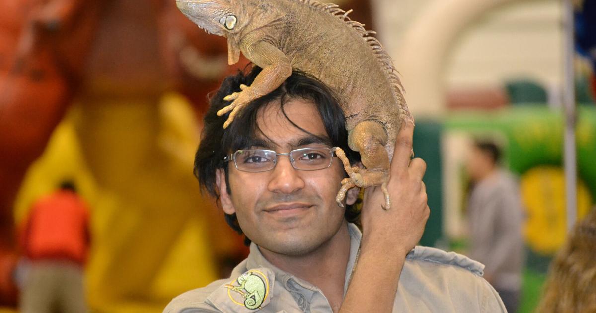 Simple and easy thanksgiving appetizers Simple and easy thanksgiving appetizers