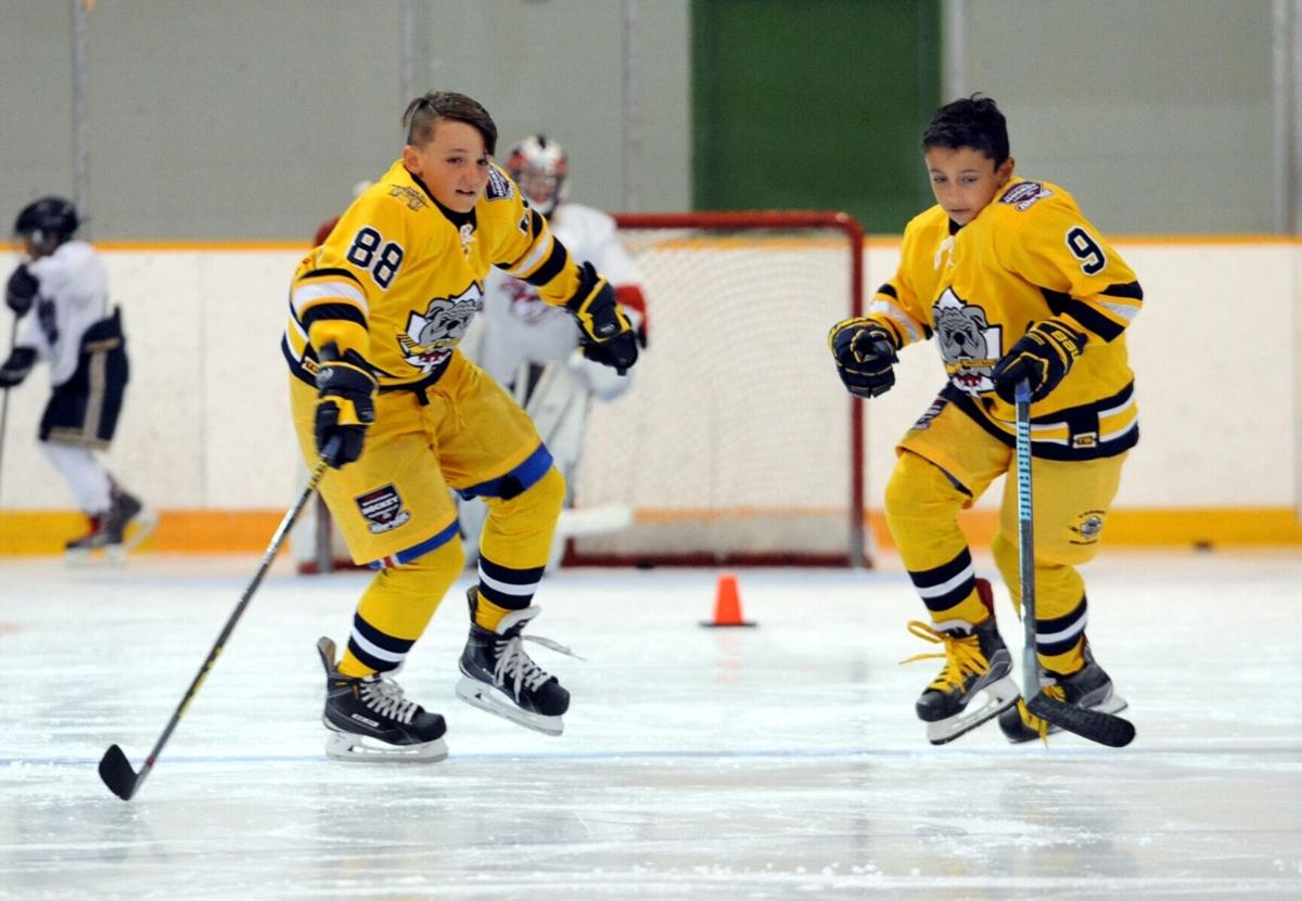 BC junior hockey team to change longstanding name and logo