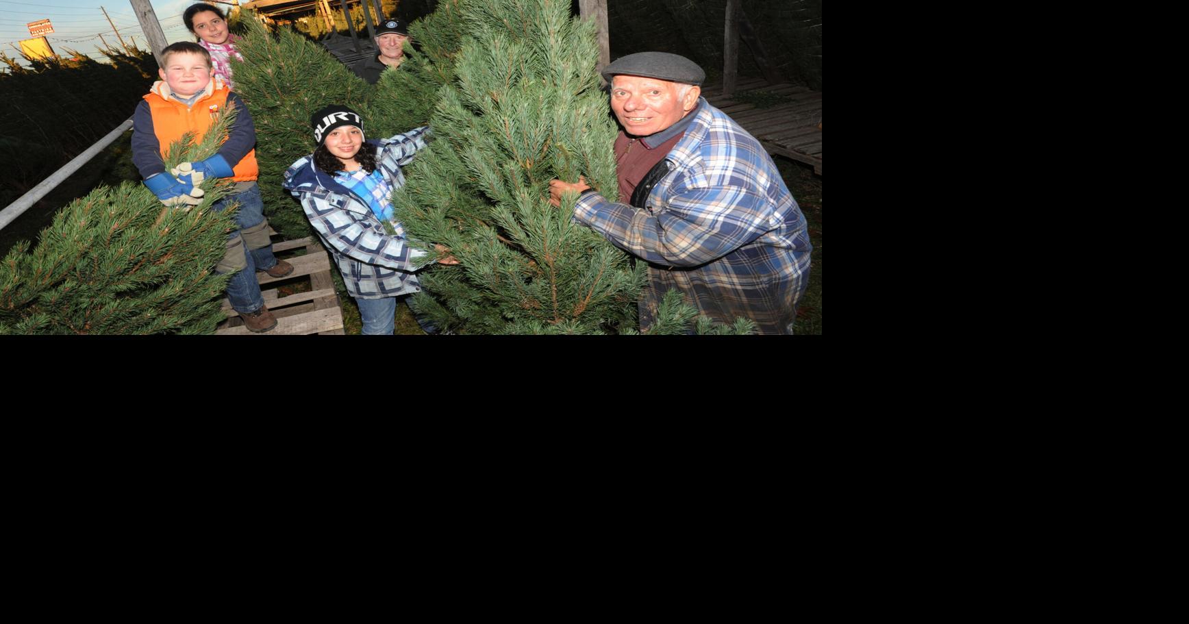 Trees help Santa Fund