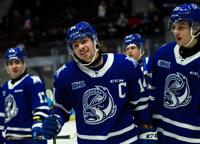 Half-dozen Mississauga Steelheads honoured in OHL coaches' poll