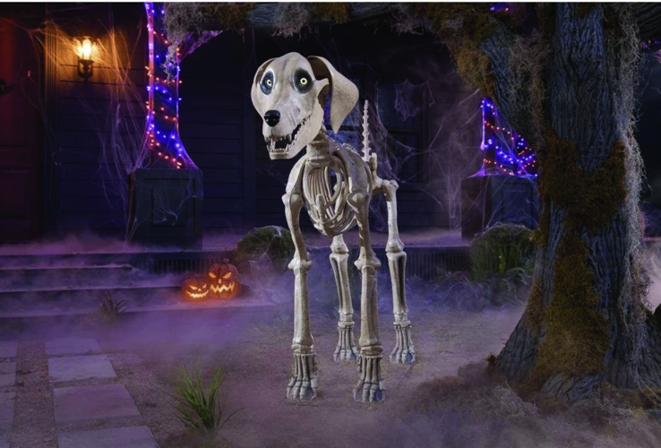 Halloween decor item sold out at The Home Depot