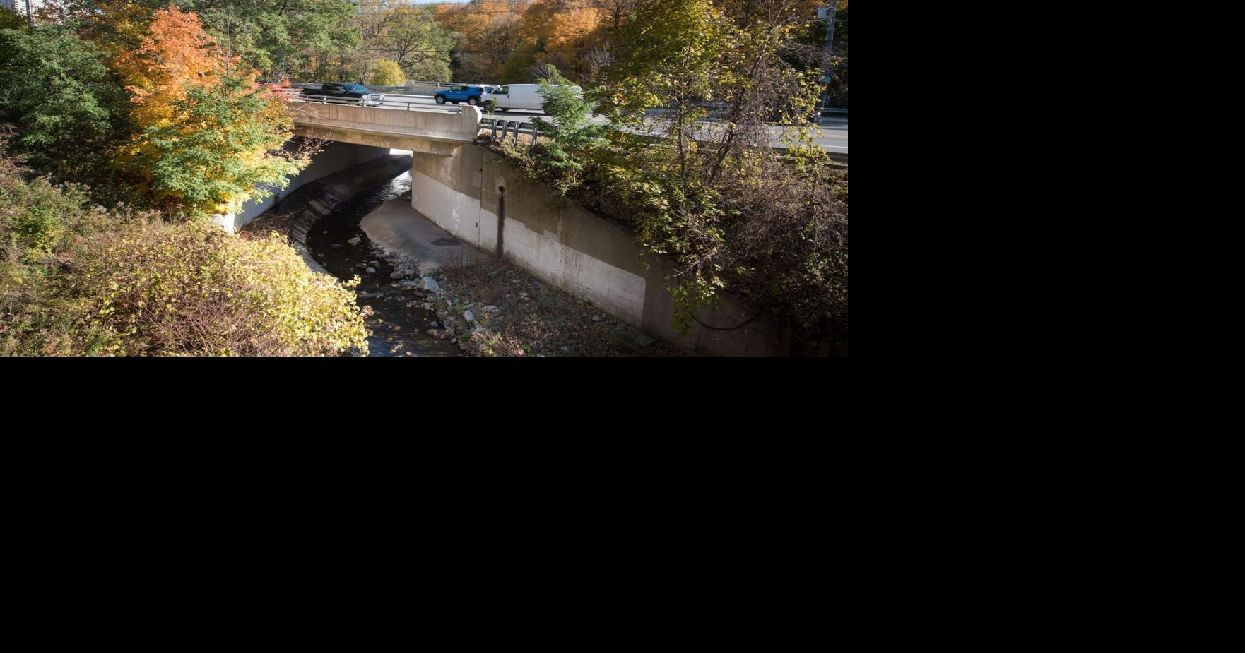 Mississauga EastCooksville 2019 Federal Election Riding Profile