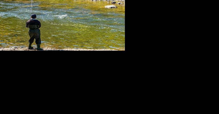 How to fish responsibly in Mississauga this summer - Vimarsana News