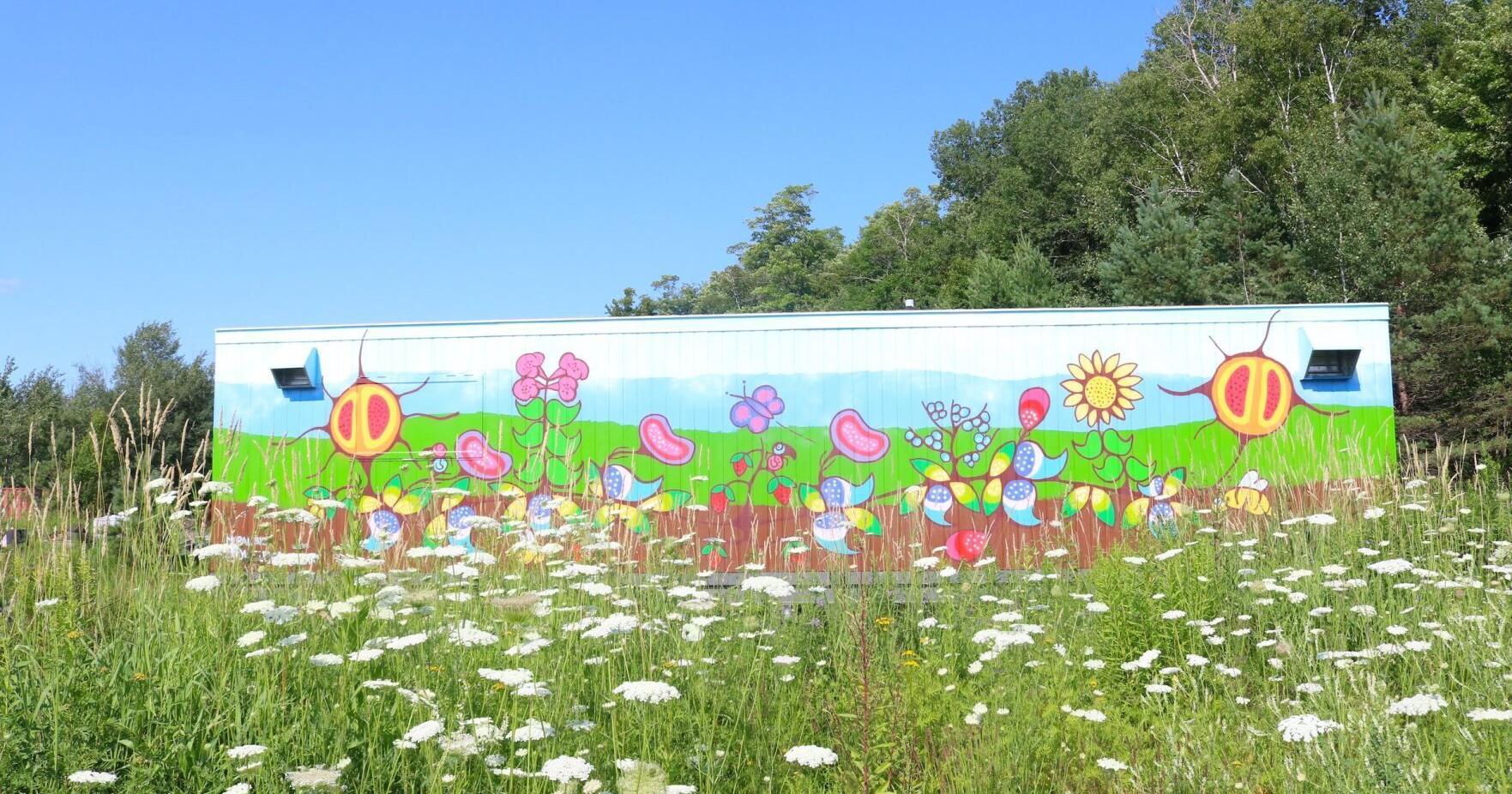 Mural by Indigenous artist Kyle Joedicke latest in Huntsville Good Food Co-op's commitment to reconciliation - Vimarsana News