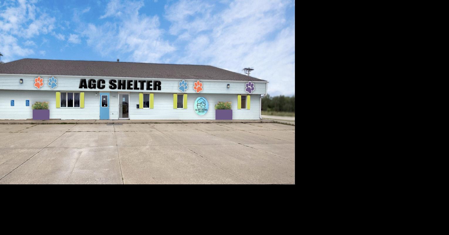 Radiothon to help shelter dogs | The Hawk Eye – Burlington, Iowa