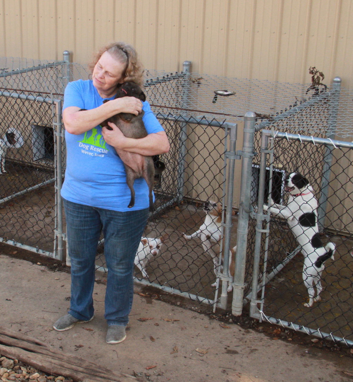 A bit of country store k9 kennel