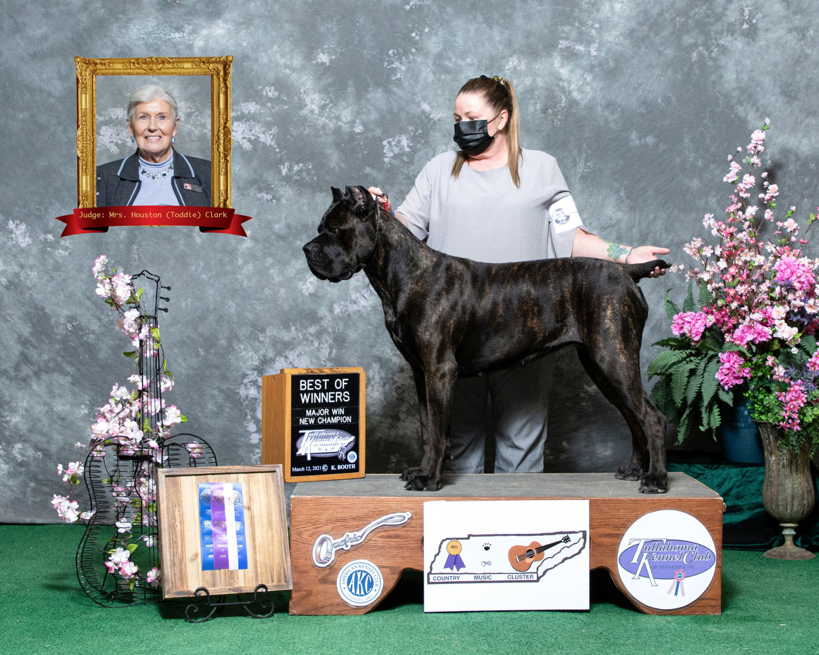 Cane corso hot sale champion 2018