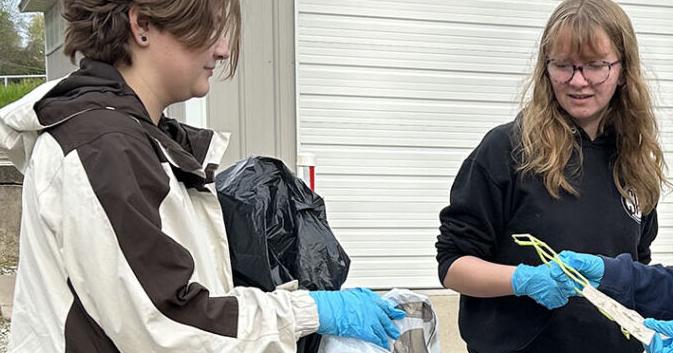 Pitch in for a prettier Burlington