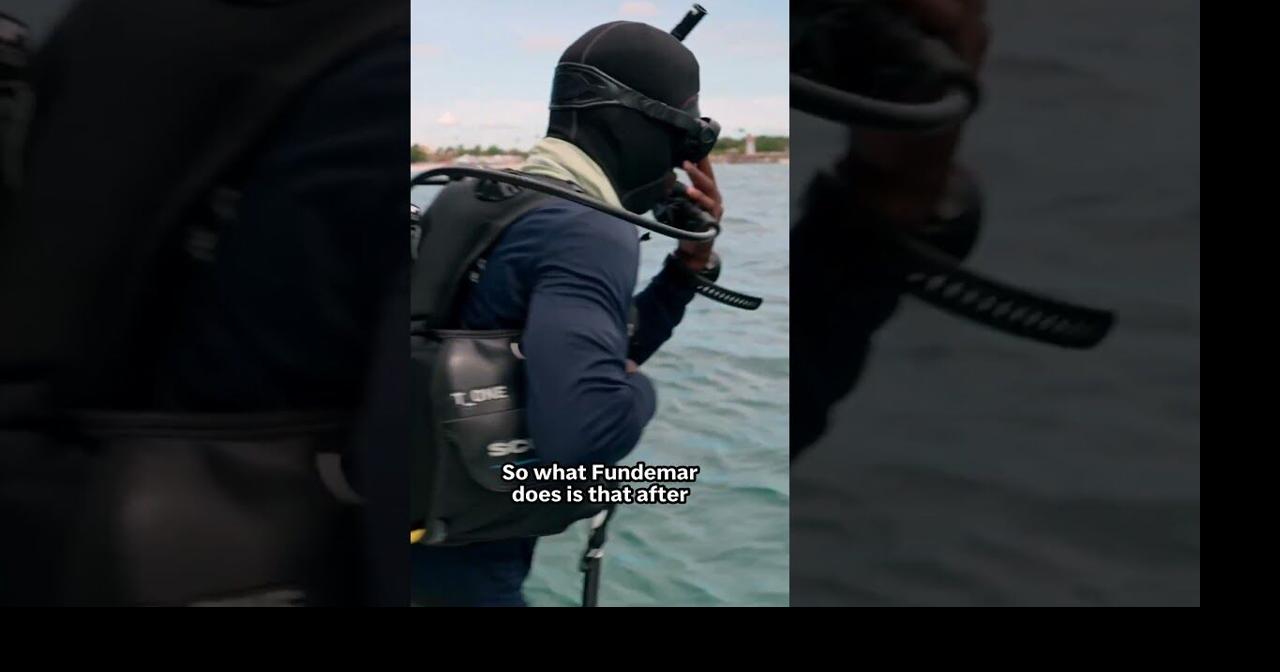 Reefs are vanishing in the Dominican Republic. A program similar to IVF could help