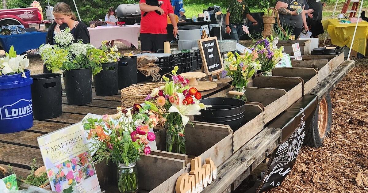 Love Lee County tour highlights hidden gems