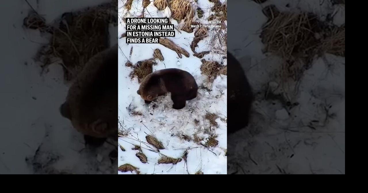 A drone looking for a missing man in Estonia instead finds a bear