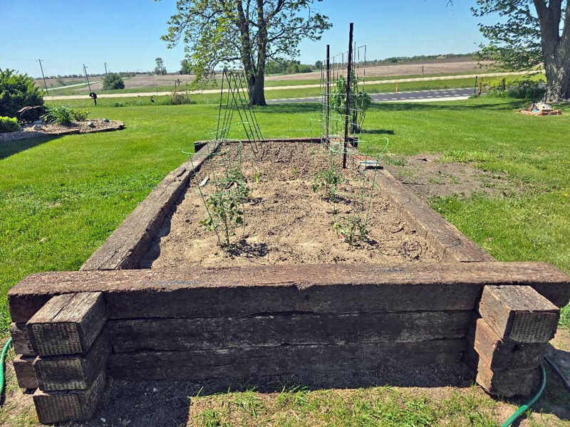 Lincoln Log raised garden