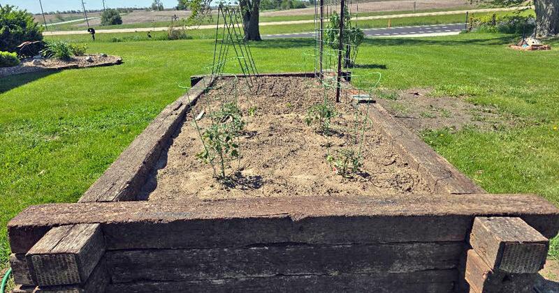 Lincoln Log raised garden (copy)