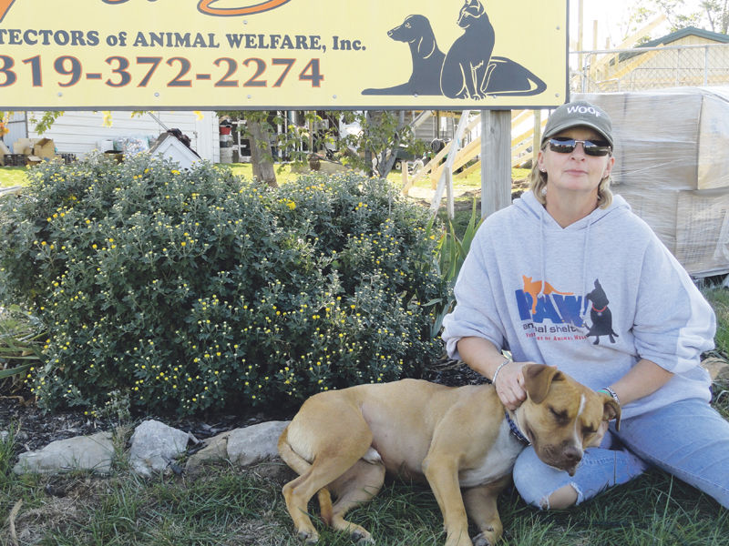 sandy animal shelter