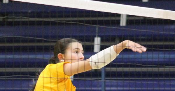 Meet Notre Dame senior Meadow Van Zee, The Hawk Eye's High School Athlete of the Week