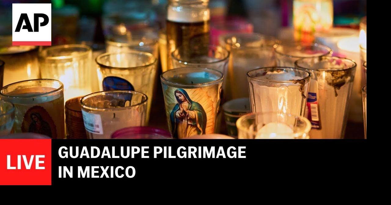 LIVE: Guadalupe pilgrimage in Mexico