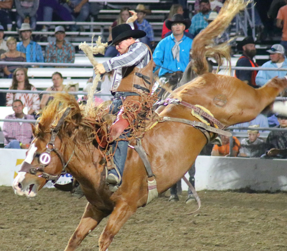 Rodeo is on, but prerodeo events are not Daily Democrat