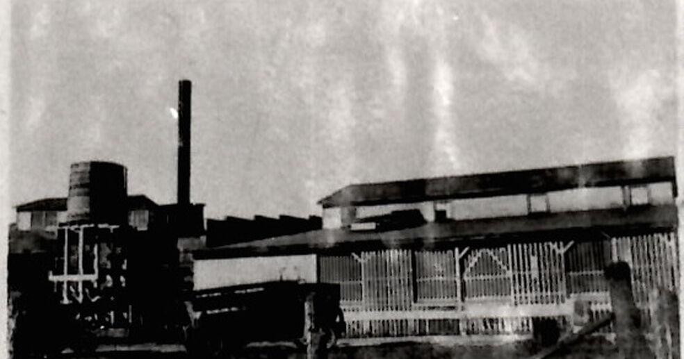 Agriculture always a large part of Montrose economy