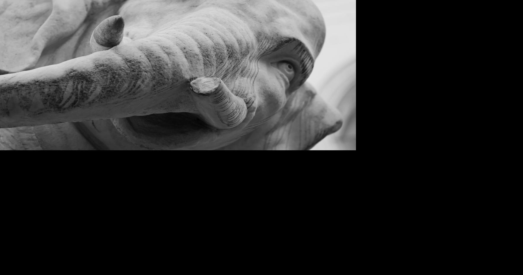 Italy Bernini's Elelphant