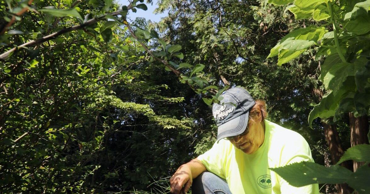 Donation will fund renovation of Crapo Park Shakespeare Garden