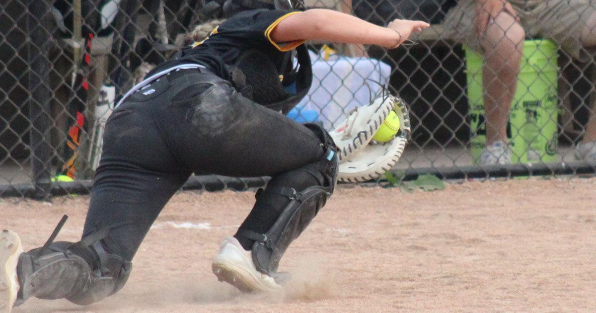 Central Lee defeats Wapello softball - Vimarsana News
