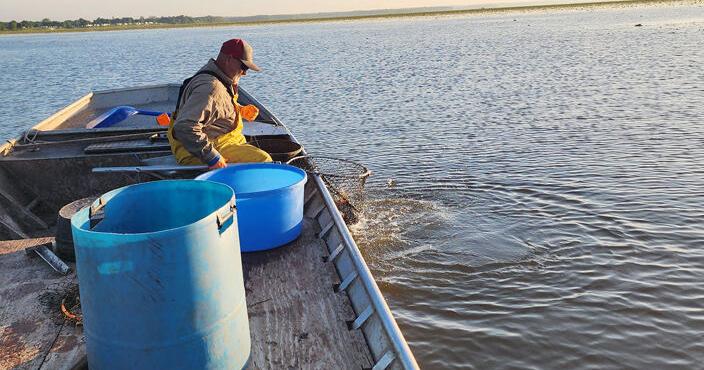 Turning 20 with a fish fry and good times - Vimarsana News
