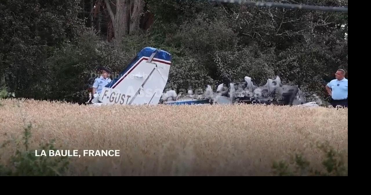 Founder of global gaming company Ubisoft killed in plane crash in France