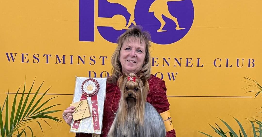 Mt. Pleasant's Chaney wins big at Westminster