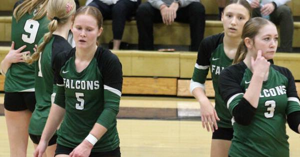Prep volleyball: Iowa City Regina knocks out West Burlington again