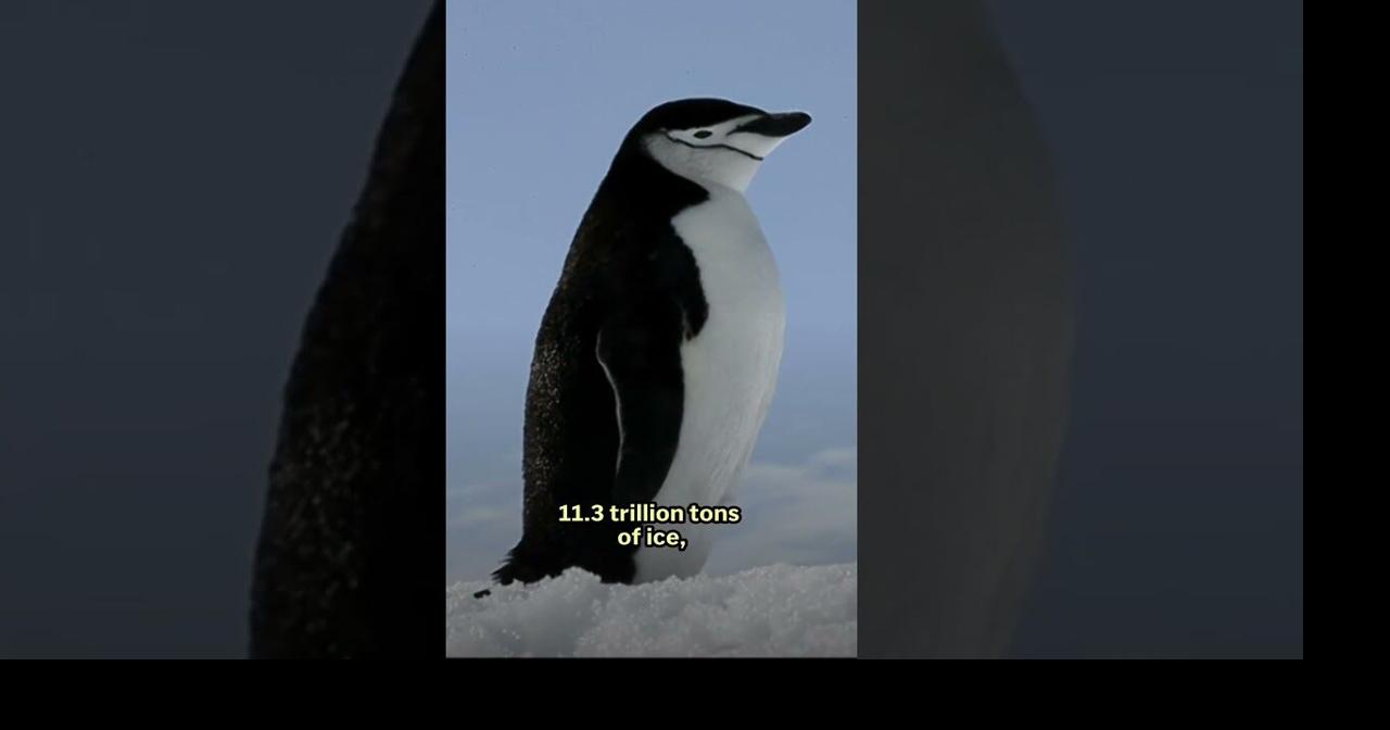 More than 12 trillion tons of ice lost in climate change's big melt ...