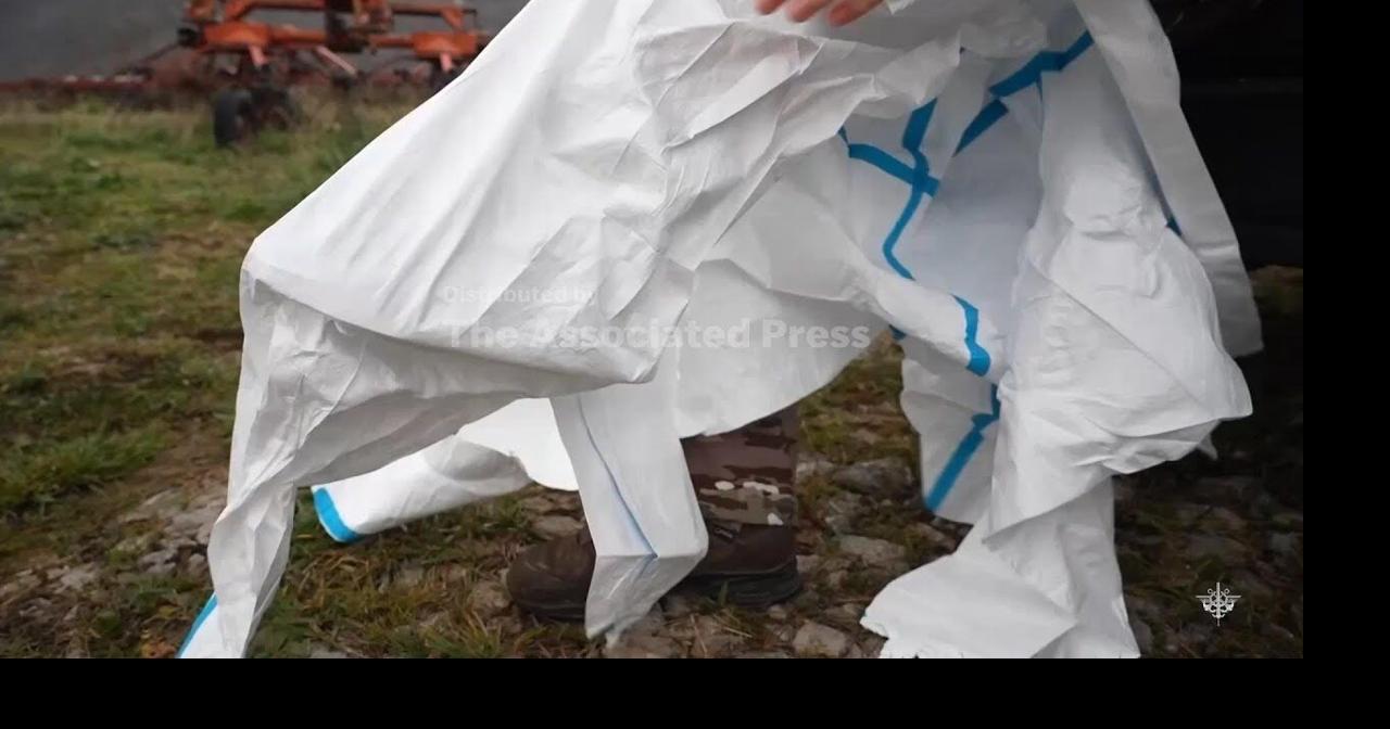 France uses armed forces to speed up cattle vaccination against lumpy skin disease