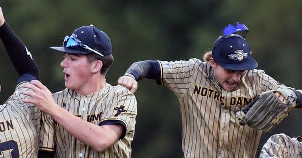 Prep baseball: Notre Dame knocks off No. 8 Sigourney, advances to substate final