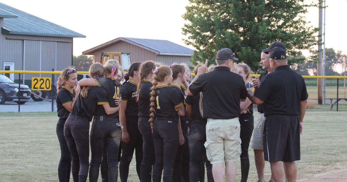 Central Lee wins softball over New London - Vimarsana News