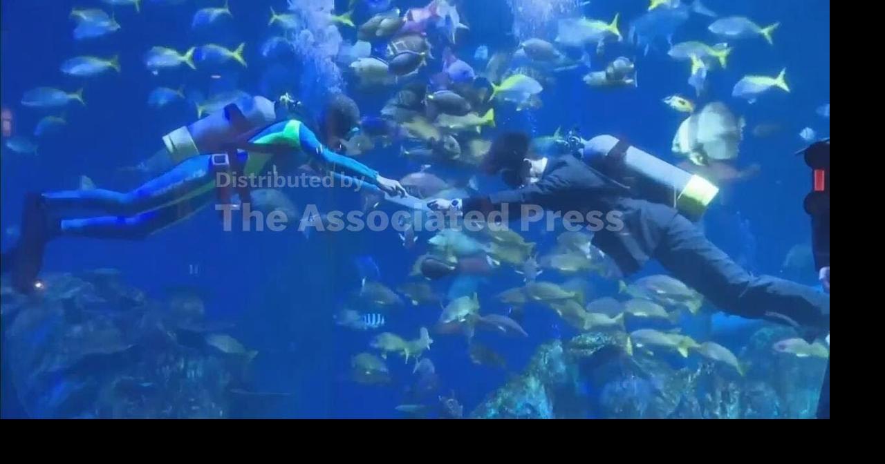 Fresh starters attend underwater welcoming ceremony in western Japan ...