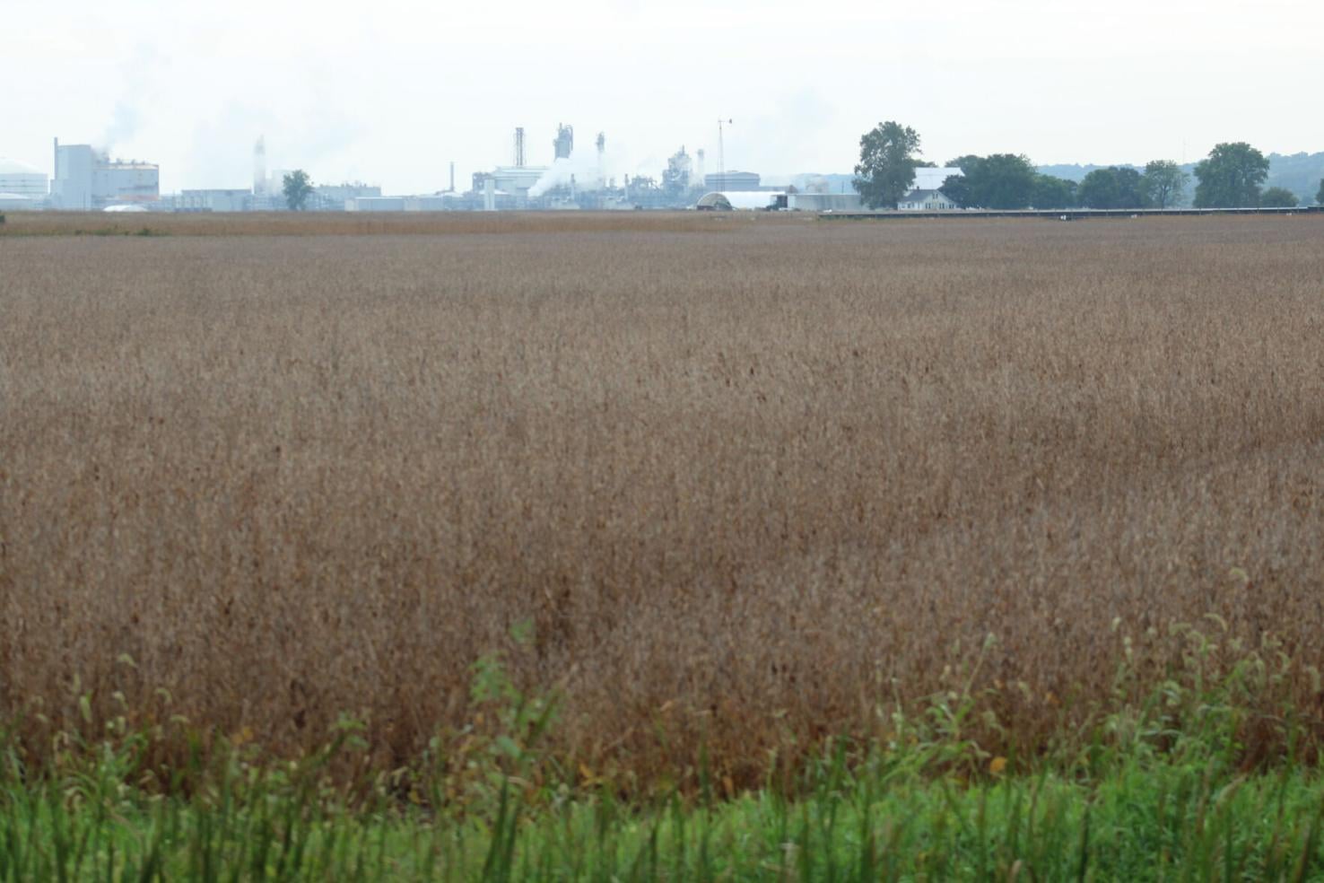 Seyb: Steel Mill project in Lee County not officially announced yet ...