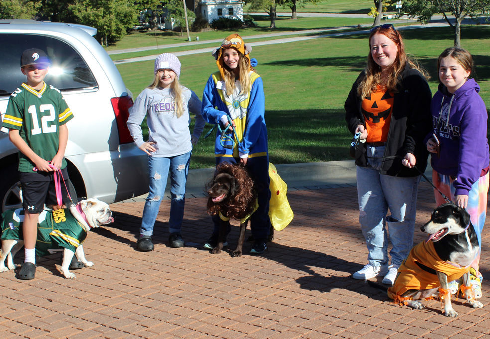 Pet parade pet clearance gate