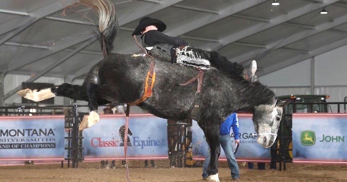 Cash Blanchard is teen local rodeo champ | Daily Democrat, Fort Madison ...