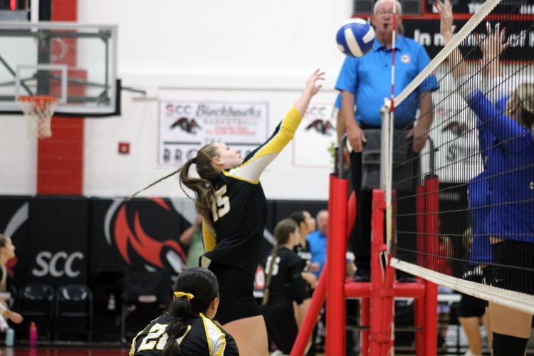 Prep volleyball Central Lee comes up short against No. 4 Holy Trinity