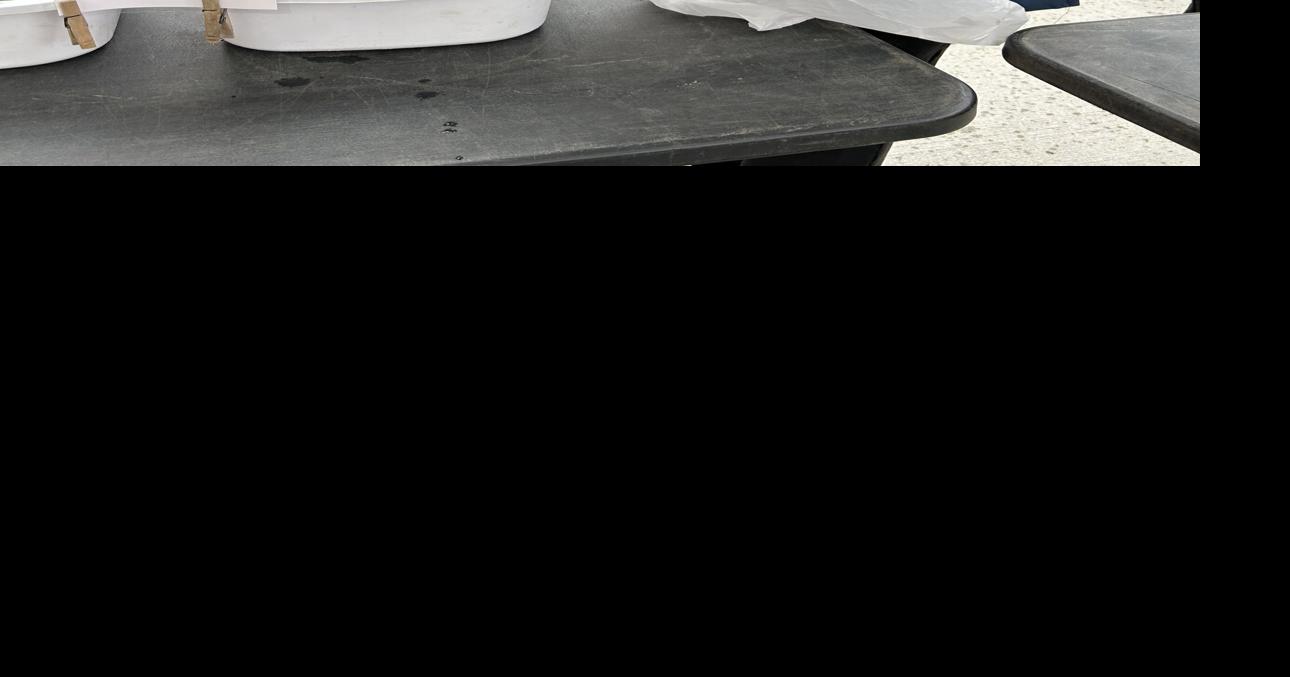 Downtown farmers market returns May 7