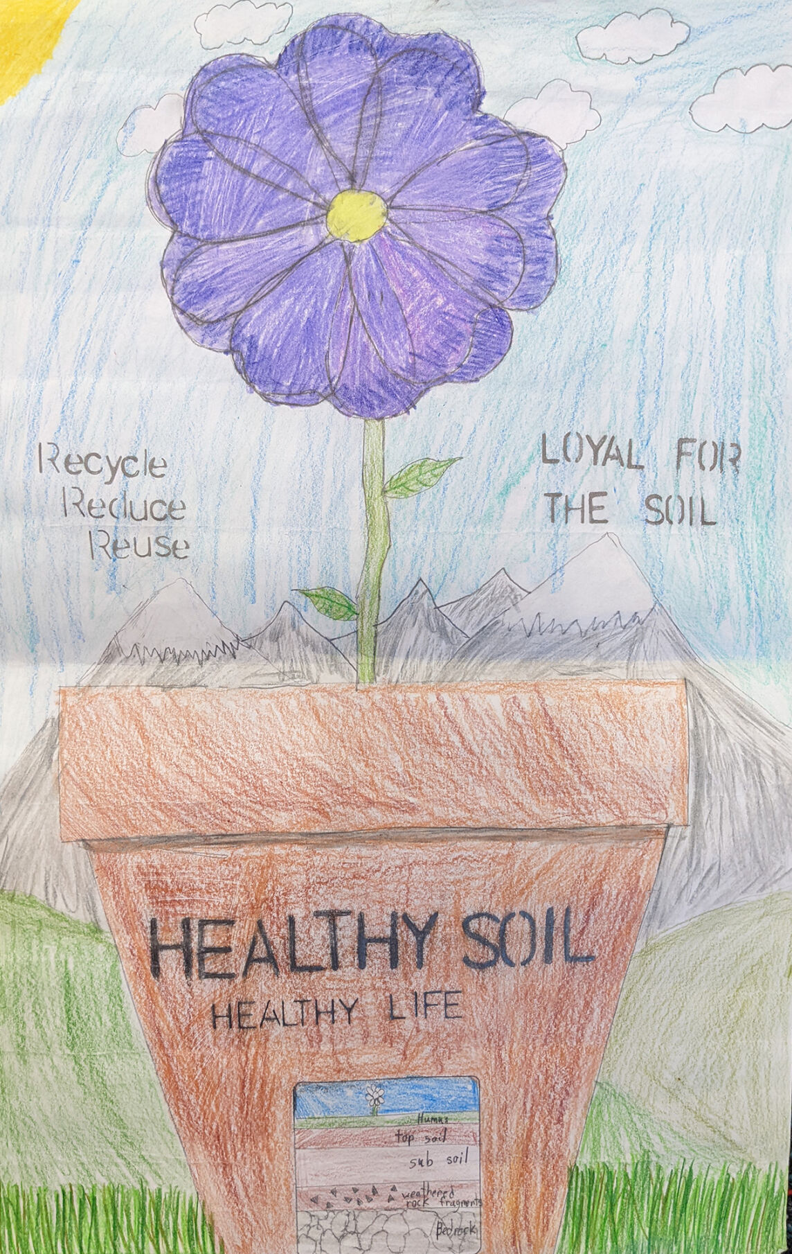 Save Soil - a global exhibition on X: 