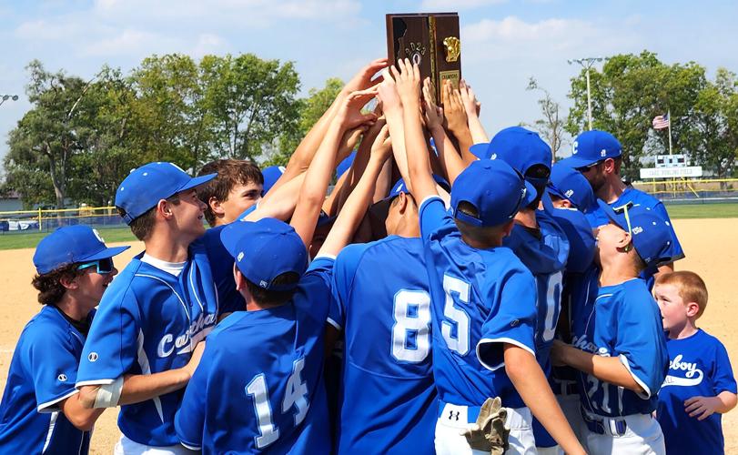 Carthage Little League > Home