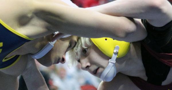 Meet the 2026 All-Hawk Eye boys wrestling team