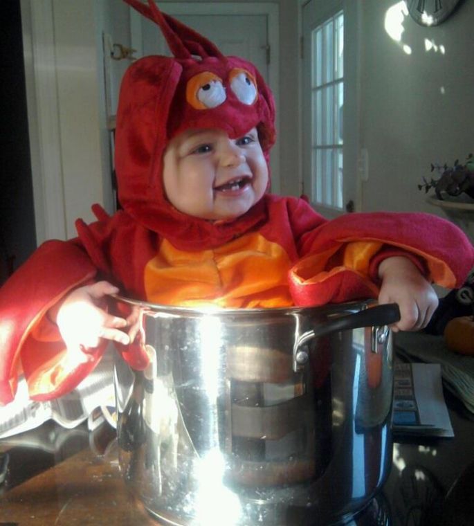 Baby lobster outlet costume