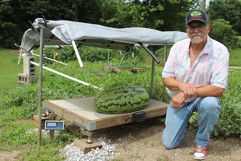 Keokuk man seeking watermelon record | Daily Gate City - Keokuk